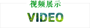 视频展示